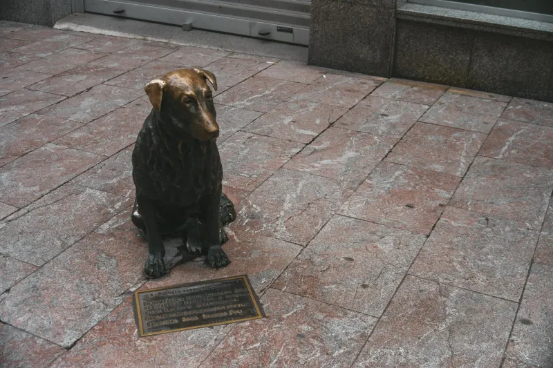 Democracy's Strangest Upset: The Deceased Canine Who Ran City Hall and Got a Bronze Statue